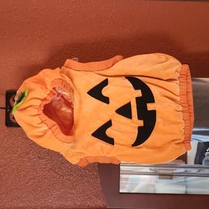 Halloween 👻 Jacko Lantern 🎃 Costume